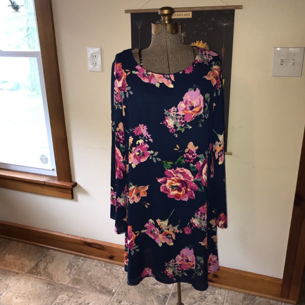 NWT. Drop waist Floral Dress with Lining